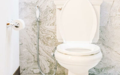 How to Choose the Right Toilet for Your Bathroom