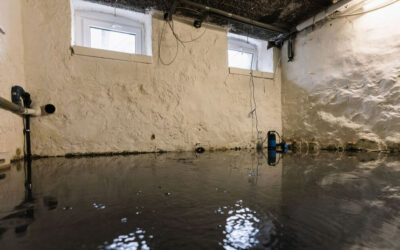 The Purpose of a Sump Pump: Protecting Your Basement from Water Damage